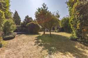 Photo 12- click for photo gallery